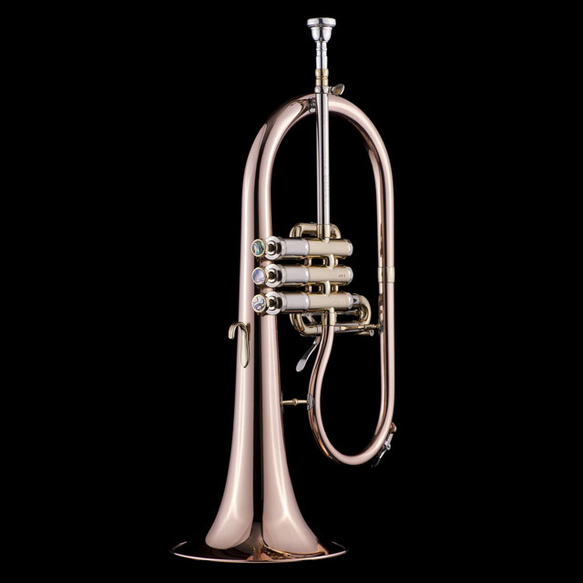 Schagerl JAMES MORRISON Flugelhorn