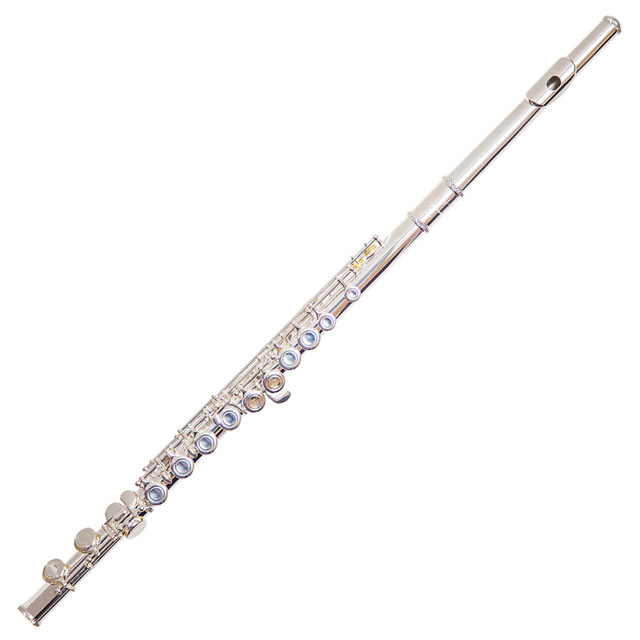 Trevor James 10x Student Flute with 925 Silver Lip and Riser