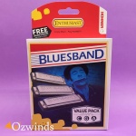 Bluesband-VP-1.jpg