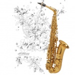 Supreme-Alto-Sax-1.jpg