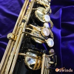 TS-Selmer-SII-jub-Black-j.jpg