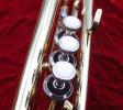 Bach TR-600 Student Trumpet