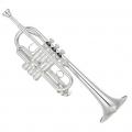 Yamaha YTR-6610S Professional Eb/D Trumpet