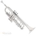 B & S Challenger II 37S Trumpet (Silver Plated)