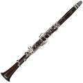 Buffet Crampon Divine Clarinet (B flat)