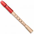 Mollenhauer Descant / Soprano Prima Recorder 1074 Red Head