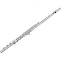 Pearl 695RBE Dolce Vigore Flute