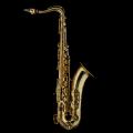 Schagerl Model 66 Tenor Saxophone (Lacquer finish)