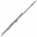 Sankyo 301-RBE Flute, Solid Silver Head and Body, Open Hole with B Foot