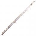 Trevor James 10x Student Flute with 925 Silver Lip and Riser