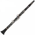 Yamaha YCL-SE Artist Mk2 Clarinet (A)