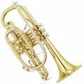 Yamaha YCR-8335II NEO B-flat Cornet Lacquered finish)