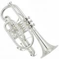 Yamaha YCR-8335SII NEO B-flat Cornet (Silver plated)