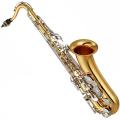 Yamaha YTS-26 Tenor Sax with our presale set-up