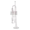 Bach Artisan B-flat Trumpet (Silver Finish)