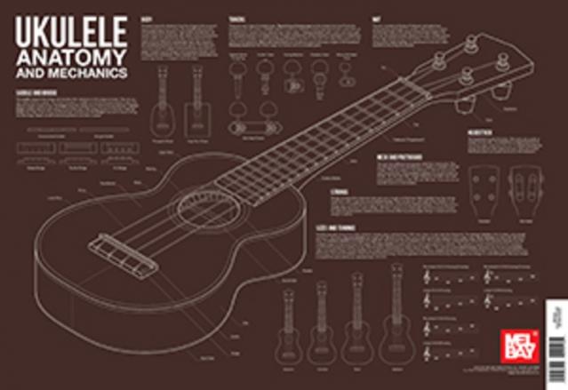 Ukulele Anatomy Wall Chart