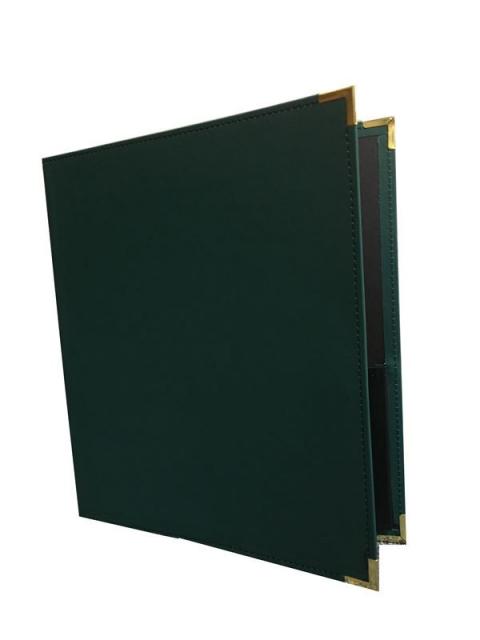 BAND FOLDER 12X14 GREEN WITH PENCIL LOOP