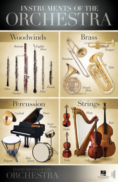 Instruments Of The Orchestra Poster 22 X 34 Inch