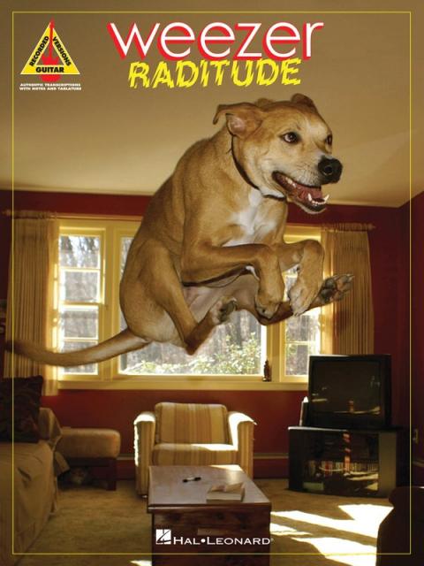 Raditude Guitar Recorded Versions