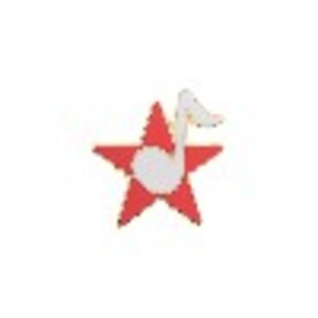 Mini Pin Star With 8th Note Asstd Colors