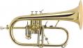 Antoine Courtois Paris Flugelhorn AC155-1 (Lacquer)